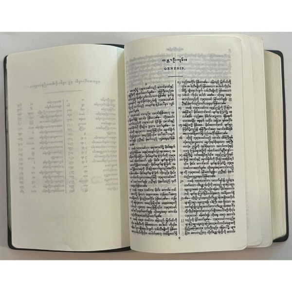 bible in burmese language inside 2