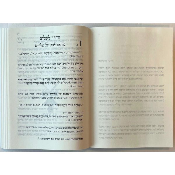 hebrew new testament for sale 2