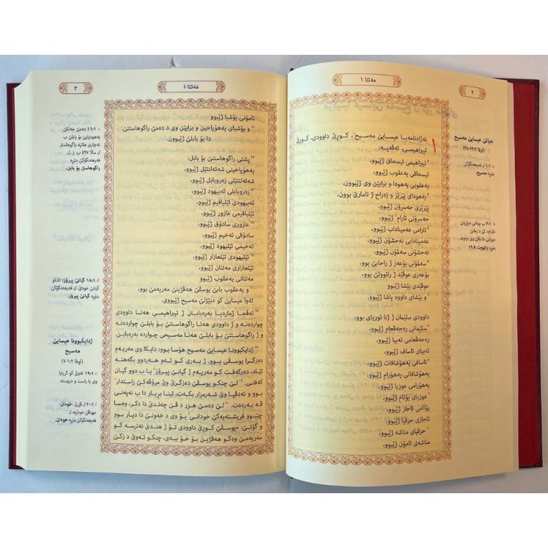 bible in kurdish for sale 2