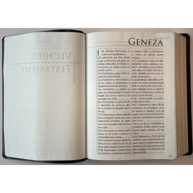 romanian bible for sale