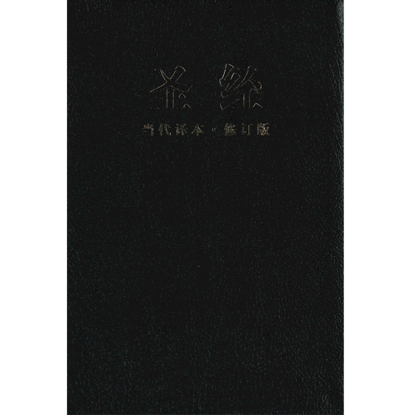 chinese sim contemporary bible for sale