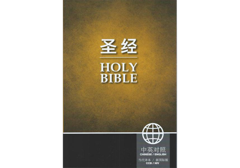 chinese simplified bible niv for sale