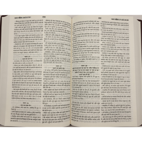 interior pages of a holy bible in hindi for sale