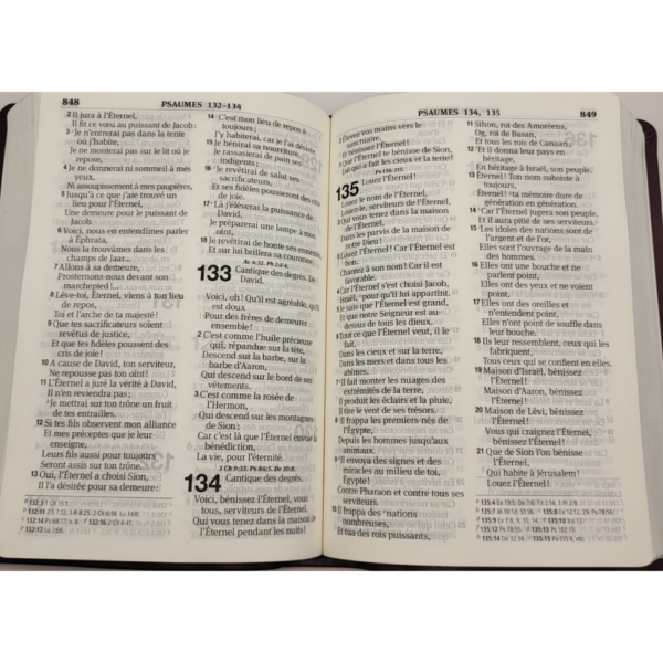 interior pages la sainte french bible for sale