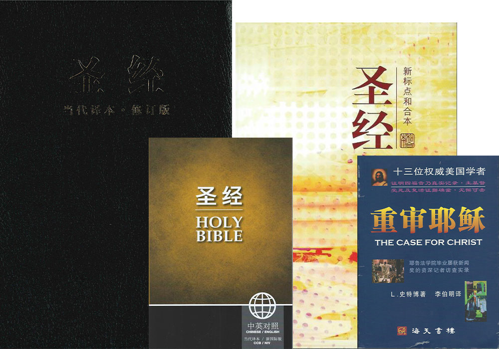 mandarin literature for sale