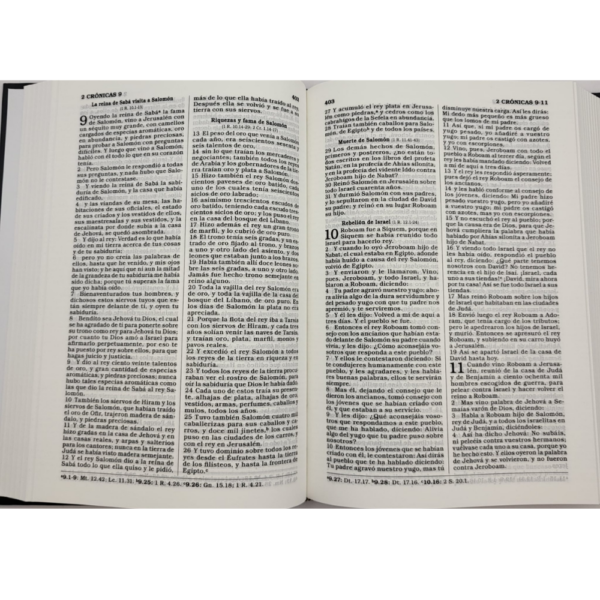 interior pages of the reina valera spanish bible for sale